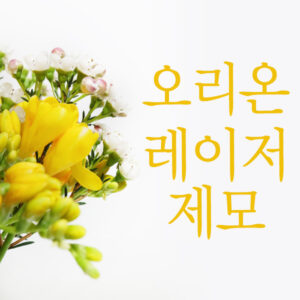 중랑구제모 여름준비는 지금 부터!!